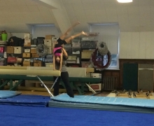 Gym Summer 2016  - 7